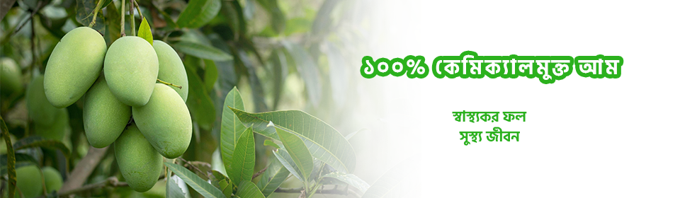 100-chemical-free-mango